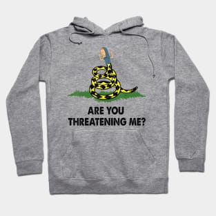 Are you threatening me Hoodie